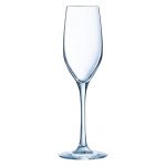 Sequence 17cl Flute Stemglass