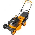 Ingco Petrol Lawn Mower 3.5kw GLM196201